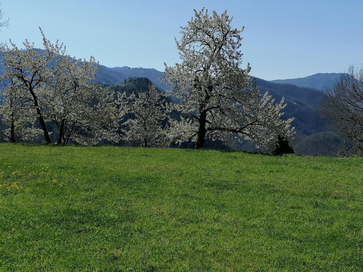 Willa La Casa In Valli 35 Bagni di Lucca Zewnętrze zdjęcie